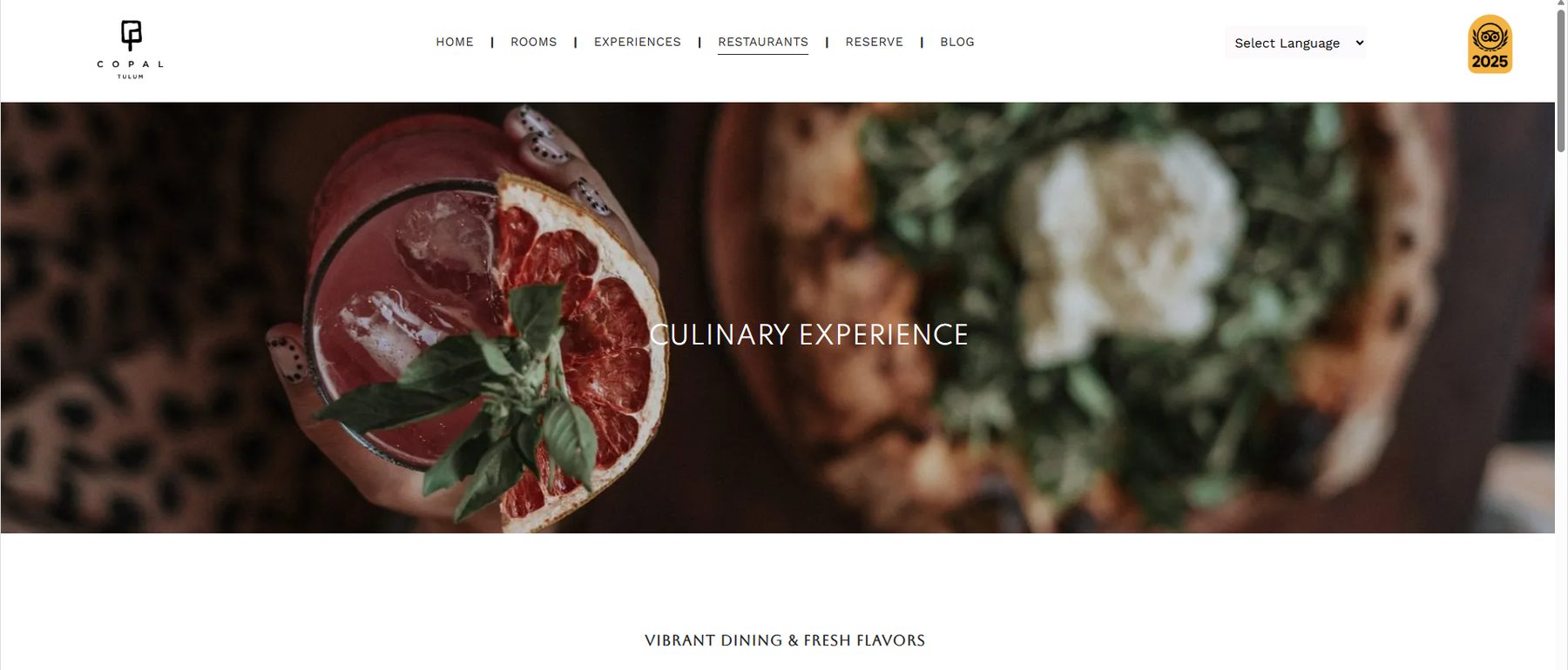Where to Eat in Tulum: The Honest Restaurant Guide (2026)