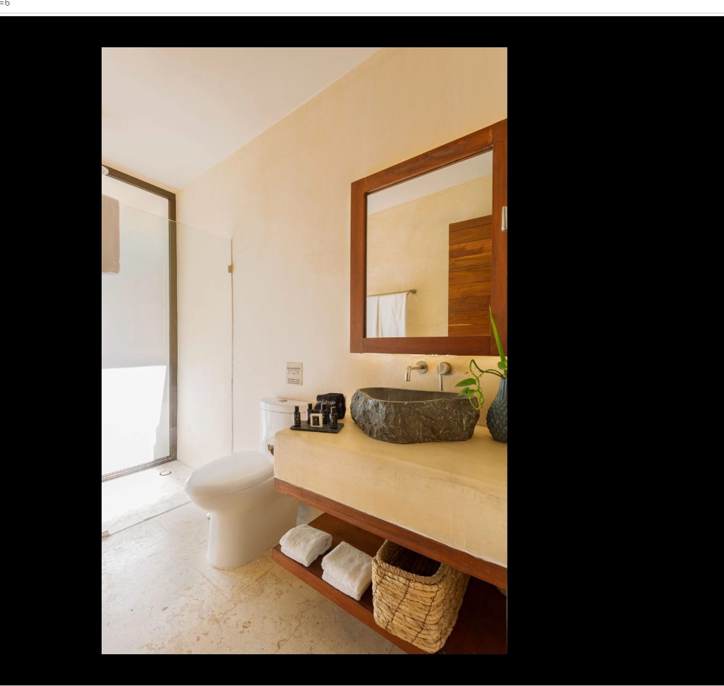 Studio Jungle Private Pool — Copal Tulum